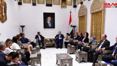 مارياني