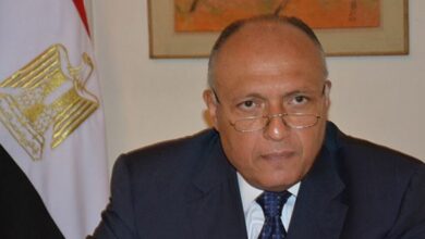 الأمن القومي العربي
