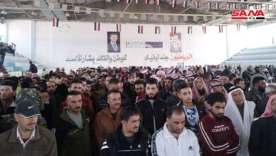 تسوية شاملة