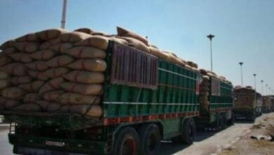 شمال العراق