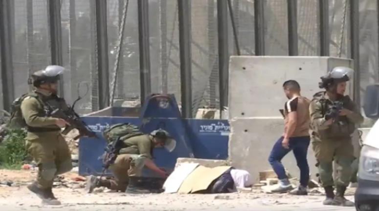 جنود الاحتلال يقتلون أرملة فلسطينية