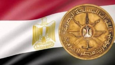 الجيش المصري