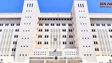 الخارجية: التهديدات العدوانية للنظام التركي