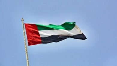الإمارات تؤكد: الأزمة السورية في صدارة مناقشاتنا حول القضايا الملحة