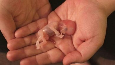 أرقام صادمة لعمليات إجهاض يومياً في المغرب