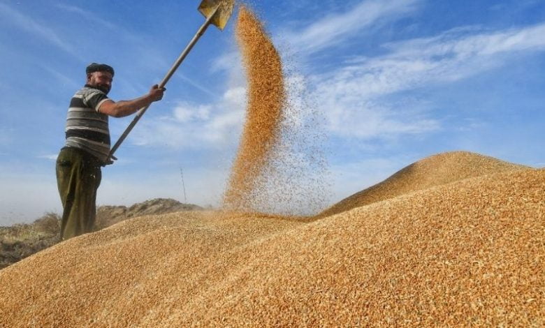 حبوب أوكرانيا