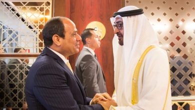 بن زايد والسيسي يشيدان بالعلاقات الثنائية بين البلدين في الذكرى الـ50 لإقامتها..