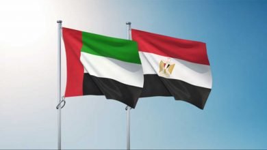 تأسيس العلاقات المصرية الإماراتية