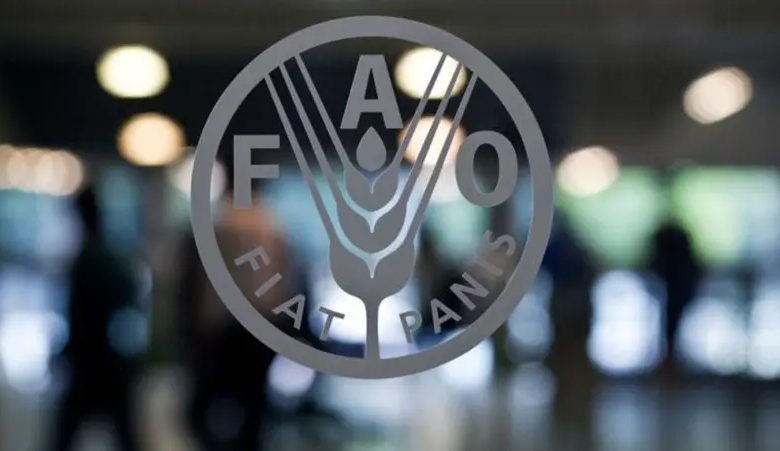 منظمة فاو تدعم أوكرانيا
