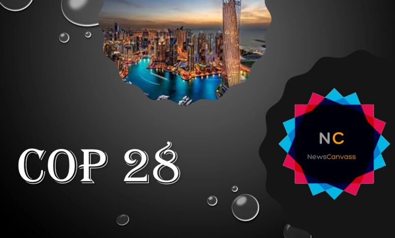 cop28