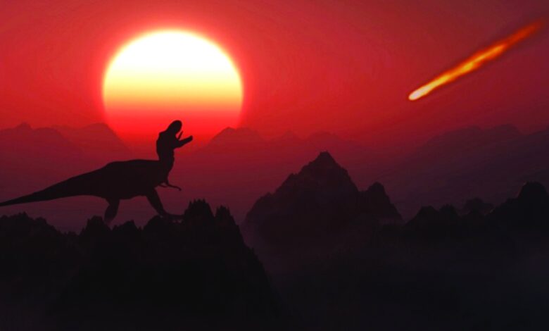 أول انقراض جماعي لكائنات حية وقع قبل 550 مليون سنة