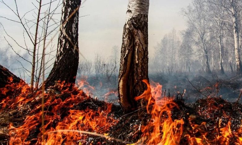 حرائق القطب الشمالي قد تتسبب بانبعاثات كربونية كارثية