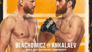 UFC282