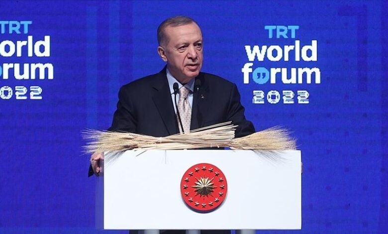 أردوغان أزمة الحبوب