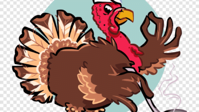 استراتيجية الشاكرية