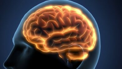 5 أنواع من الطعام تؤثر على الدماغ