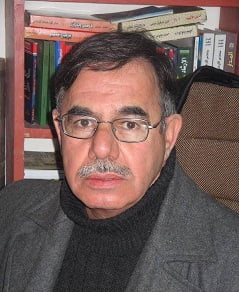 "مصطلحات الرواية"