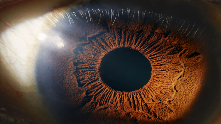 أطعمة مفيدة