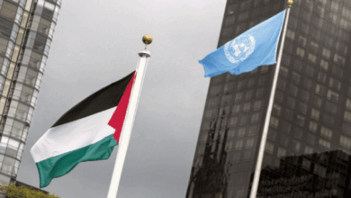العدل الدولية الأ{اضي الفلسطينية