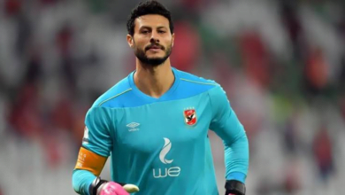 محمد الشناوي