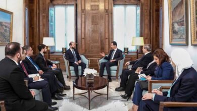 الأسد خلال استقباله وزير خارجية أرمينيا