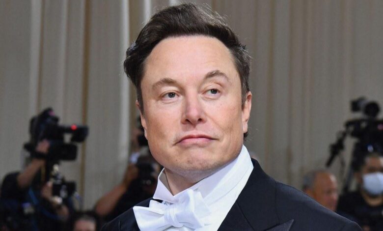 Elon Mask