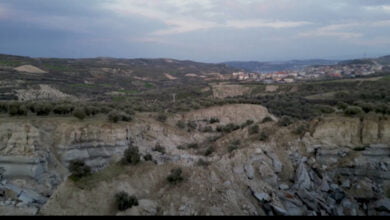 الزلزال حقول الزيتون