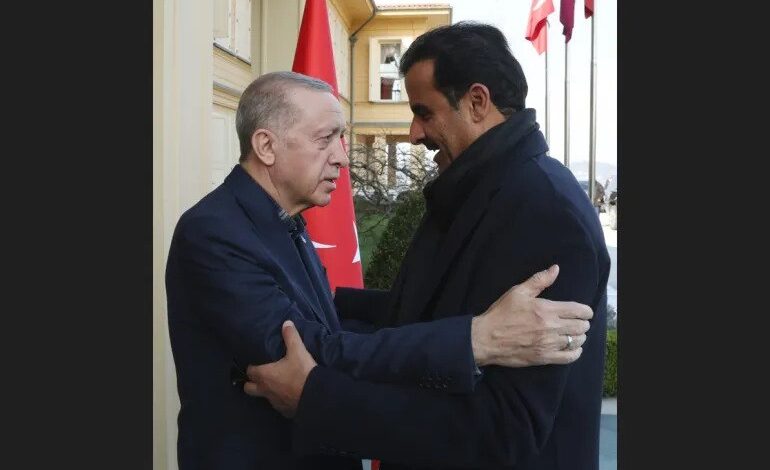 أمير قطر تركيا