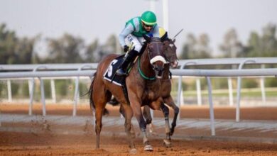 الليلة.. ختام كأس السعودية لسباق الخيل بـ 35 مليون دولار