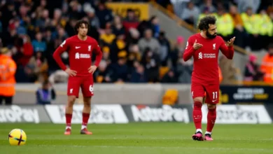 جماهير ليفربول
