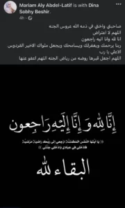 البلوجر دينا صبحي
