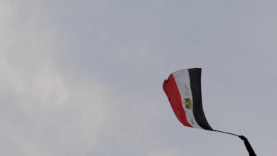 فنانة مصرية
