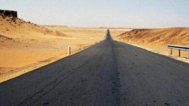 الجزائر