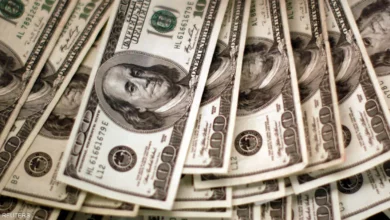 "ميتا" تتوسع في خدمة التوثيق مقابل الأموال