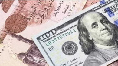 سعر الدولار بمصر يشهد حالة من الاستقرار مقابل الجنيه