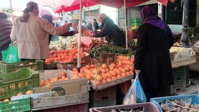 وزير الخارجية الإيطالي: تونس بحاجة لمساعدة بشكل فوري وعاجل