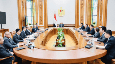 السيسي: تعاون مصر والصين وطيد في المجال الاقتصادي والاستثماري