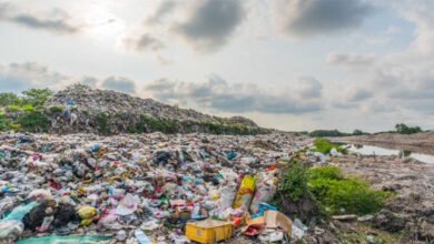 التلوث البلاستيكي يتفاقم وتقرير دولي يحذر من تضاعف الاستهلاك