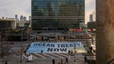 محادثات صعبة لانتزاع معاهدة لحماية أعالي البحار