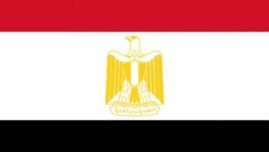 إسقاط الجنسية المصرية