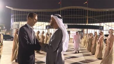الأسد الإمارات
