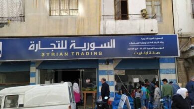 التجارة الداخلية البصل