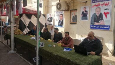 نقابة المهن التمثيلية