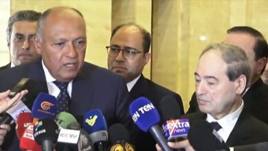مباحثات مصرية سورية