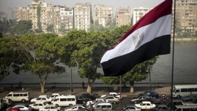 مصر البنك الدولي