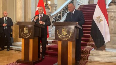 وزير الخارجية المصري