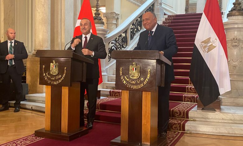 وزير الخارجية المصري