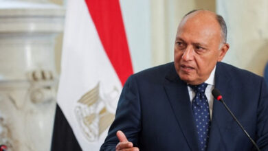 شكري: إخراج السودان من الوضع الصعب ومنع التدخل الخارجي