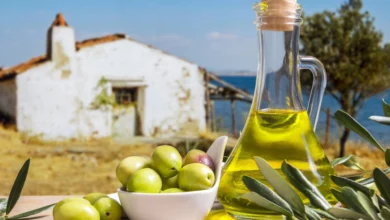 زيت الزيتون.. تونس تستحوذ على 15% من صادرات العالم والمغرب يتصدر عربيا في الإنتاج