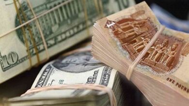 سعر الدولار في مصر